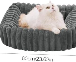 1756094769 41qmplbot7l. Ac .jpg
