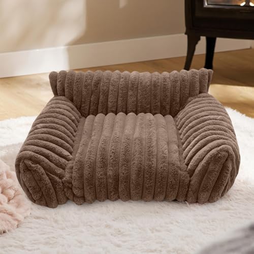 1756217254 41ene0t6dml. Ac .jpg