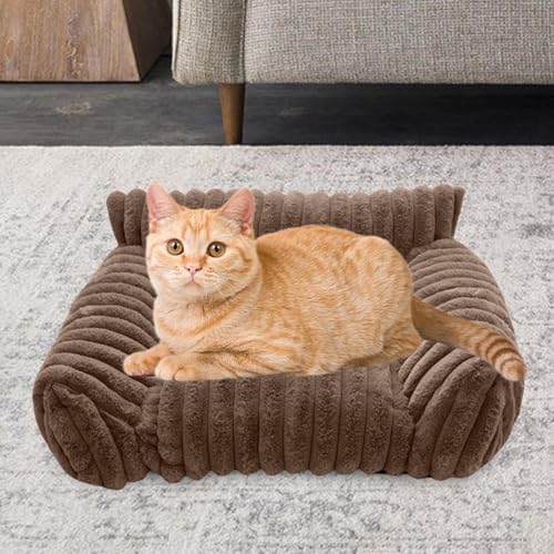 1756217254 51bar1wupl. Ac .jpg