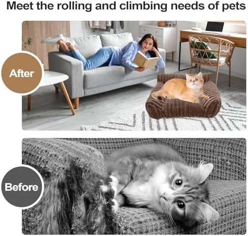 1756217256 514fgzvmryl. Ac .jpg