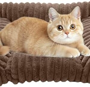 1756217257 418kxc3o4wl. Ac .jpg