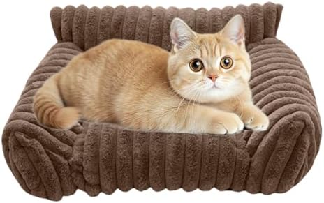 1756217257 418kxc3o4wl. Ac .jpg