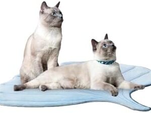 31qwilpsrel. Ac .jpg