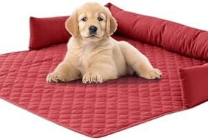 31vpwnpvzml. Ac .jpg