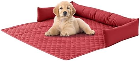 31vpwnpvzml. Ac .jpg