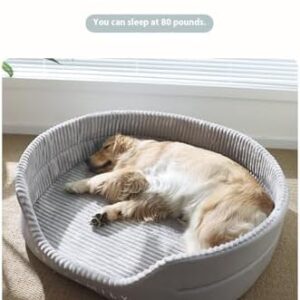 41q33lopml. Ac .jpg