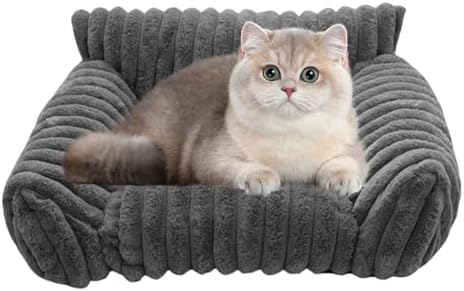 416tafuvrfl. Ac .jpg