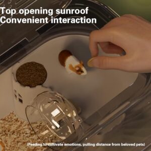 41d256lpt8l. Ac .jpg