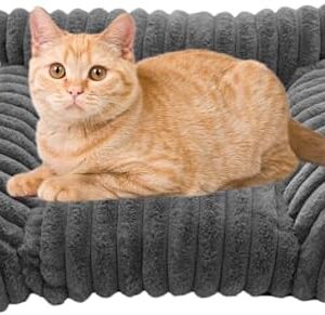 41jwmybjuyl. Ac .jpg