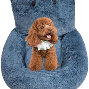 41pxav9ivul. Ac .jpg