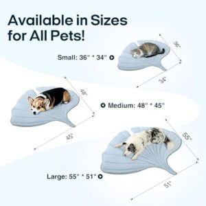 41zktwewpql. Ac .jpg