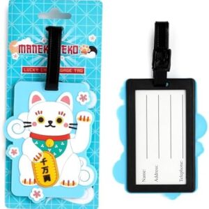 41csmaipjnl. Ac .jpg