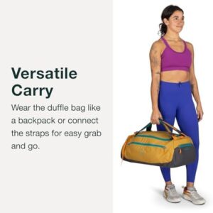 41kpwrd8ual. Ac .jpg