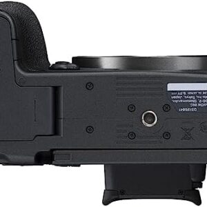 41lwmw9is3l. Ac .jpg