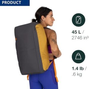 41p8vx0ma2l. Ac .jpg