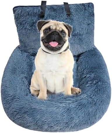 51cyxa5ryil. Ac .jpg