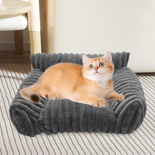 51ggklzravl. Ac .jpg