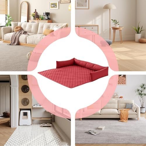 51kcikng9ql. Ac .jpg