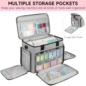 51mebwxy11l. Ac .jpg