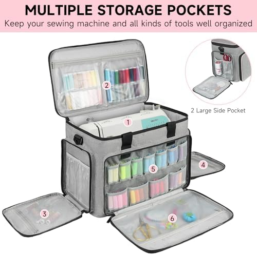 51mebwxy11l. Ac .jpg