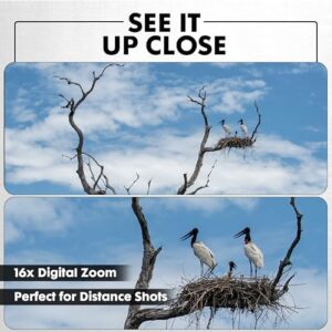 51otegeibil. Ac .jpg