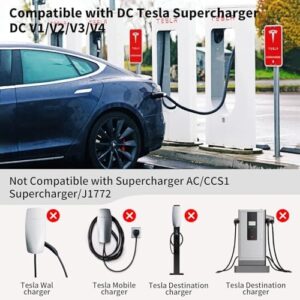 51tdgt2fyil. Ac .jpg