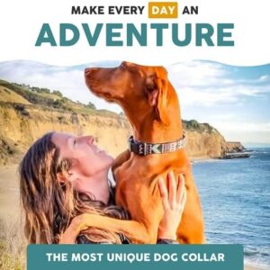 51czofxsfxl. Ac .jpg