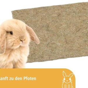 51dpkuhjl6l. Ac .jpg