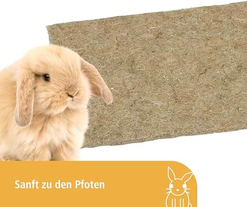 51dpkuhjl6l. Ac .jpg