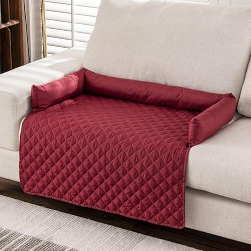 51rdf83dshl. Ac .jpg