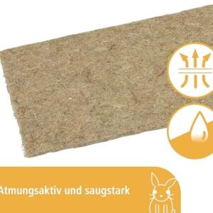 51wud9ozvkl. Ac .jpg