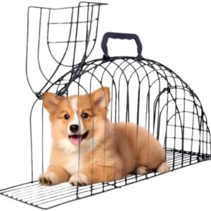 1756838857 4184vuafucl. Ac .jpg