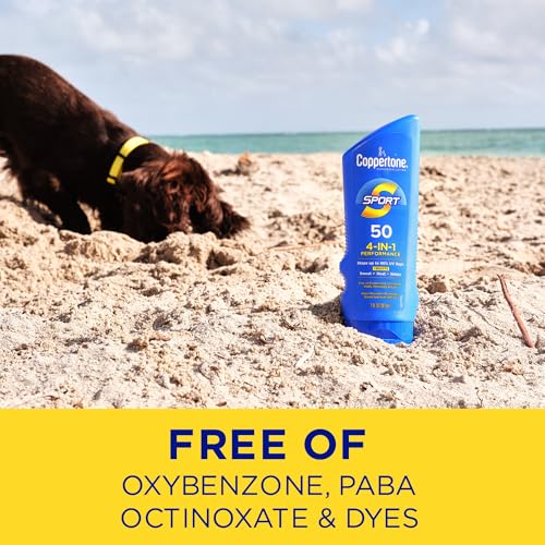 1757018169 51jlqau7bsl.jpg