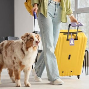 1757347072 41brdx9cyvl. Ac .jpg