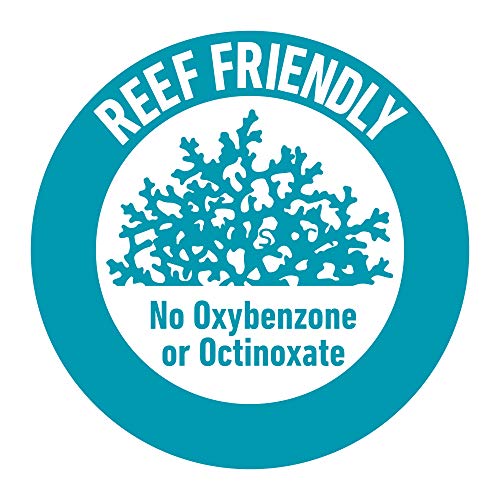 1757834485 514cye2i5zl.jpg