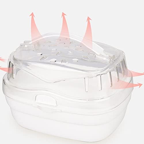 31woownykvl. Ac .jpg