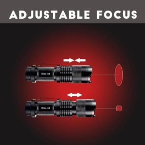 41chqmitbbl. Ac .jpg