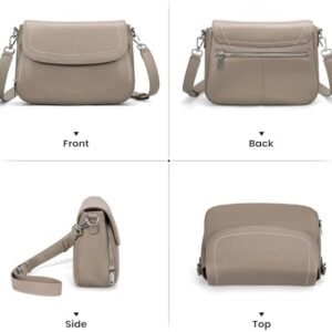 41ivt5dloil. Ac .jpg