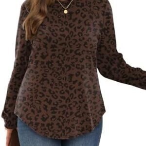 41sv Xansfl. Ac .jpg