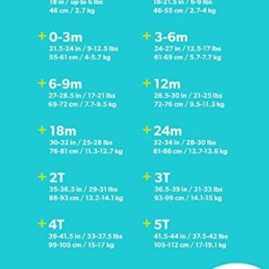 41ty3avcxwl. Ac .jpg