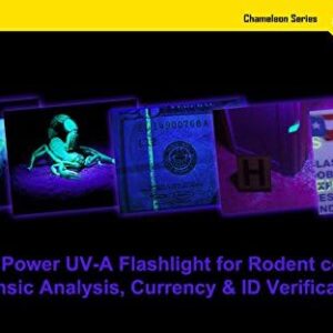 41b1ibpdpvl. Ac .jpg