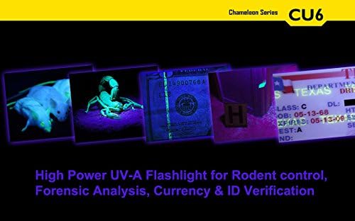 41b1ibpdpvl. Ac .jpg