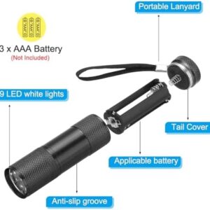 41lenbdhj0l. Ac .jpg