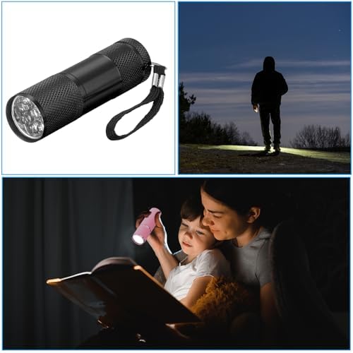 41wijxjwknl. Ac .jpg