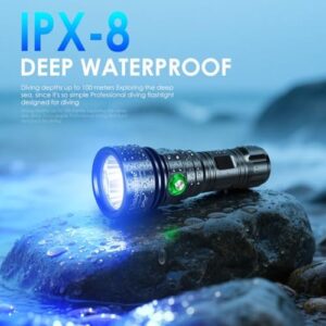 41zmiw3wtwl. Ac .jpg