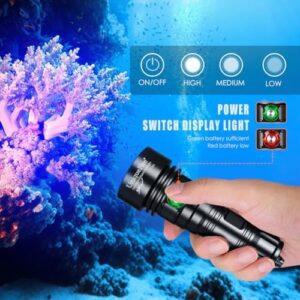 512hpjqtn2l. Ac .jpg