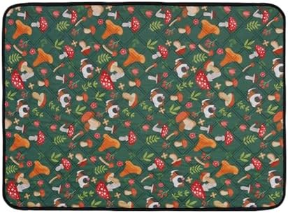 515ump0g Il. Ac .jpg