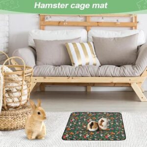 517v09eytpl. Ac .jpg