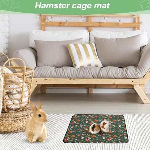 517v09eytpl. Ac .jpg