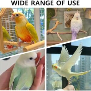 51qxs Pqlel. Ac .jpg